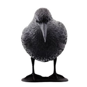 ISO Odpuzovač holubů a ptáků havran - U.T.C