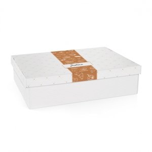 Krabice na cukroví a lahůdky Tescoma DELÍCIA, 40 x 30 cm - Tescoma