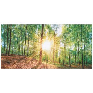 Euroart OBRAZ NA PLÁTNĚ, stromy, 115/55/3 cm