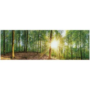 Euroart OBRAZ NA SKLE, stromy, 33/98 cm