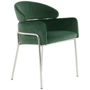 Židle s područkami Zelená/barvy Stříbra